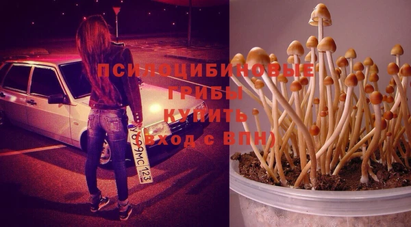 мяу мяу кристалл Аркадак